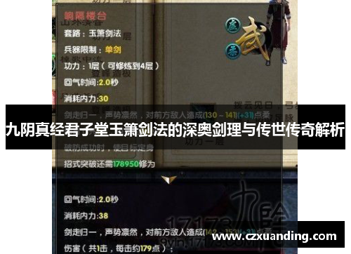 九阴真经君子堂玉箫剑法的深奥剑理与传世传奇解析